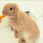 Public game code anyone can join & chat · Gimkit Feedback