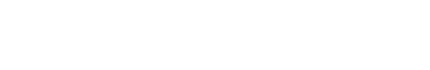 Domain Leads